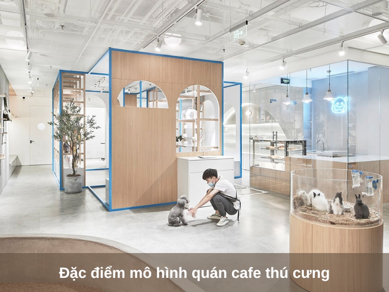 dac diem mo hinh quan cafe thu cung